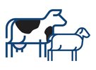 A food company